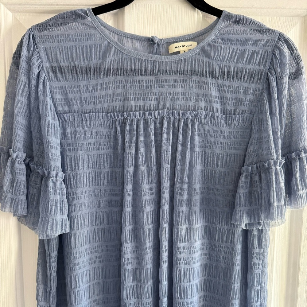 Max Studio Mesh Pleated Top